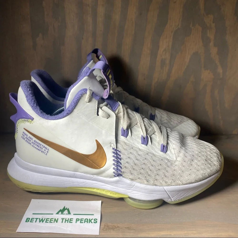 Nike Lebron Witness 5 Summit white metallic bronze size